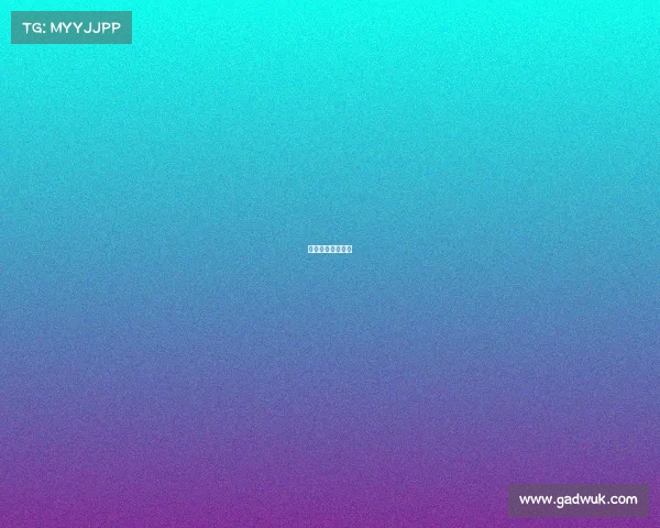 举办搏击赛事流程